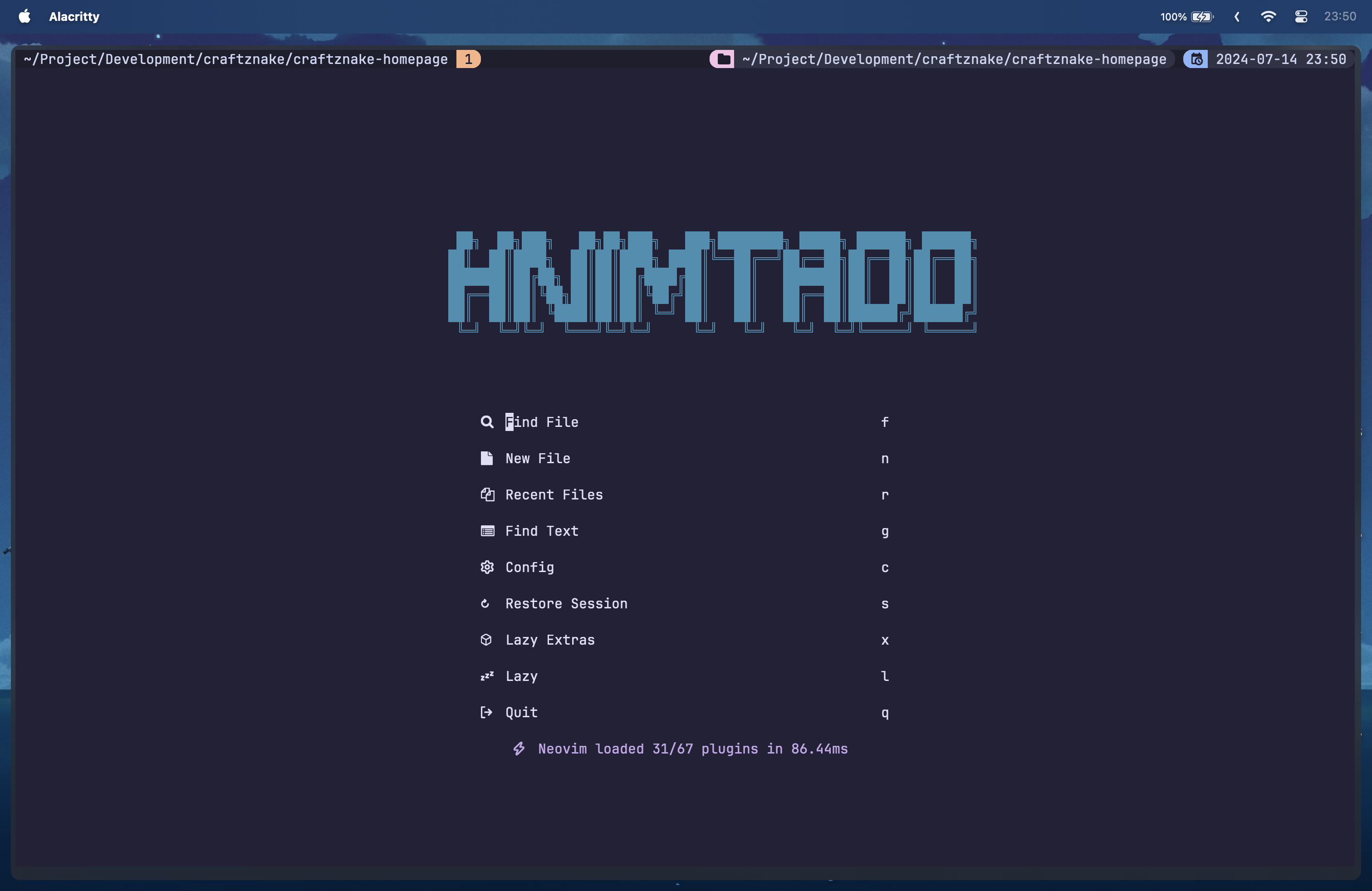 nvim dashboard
